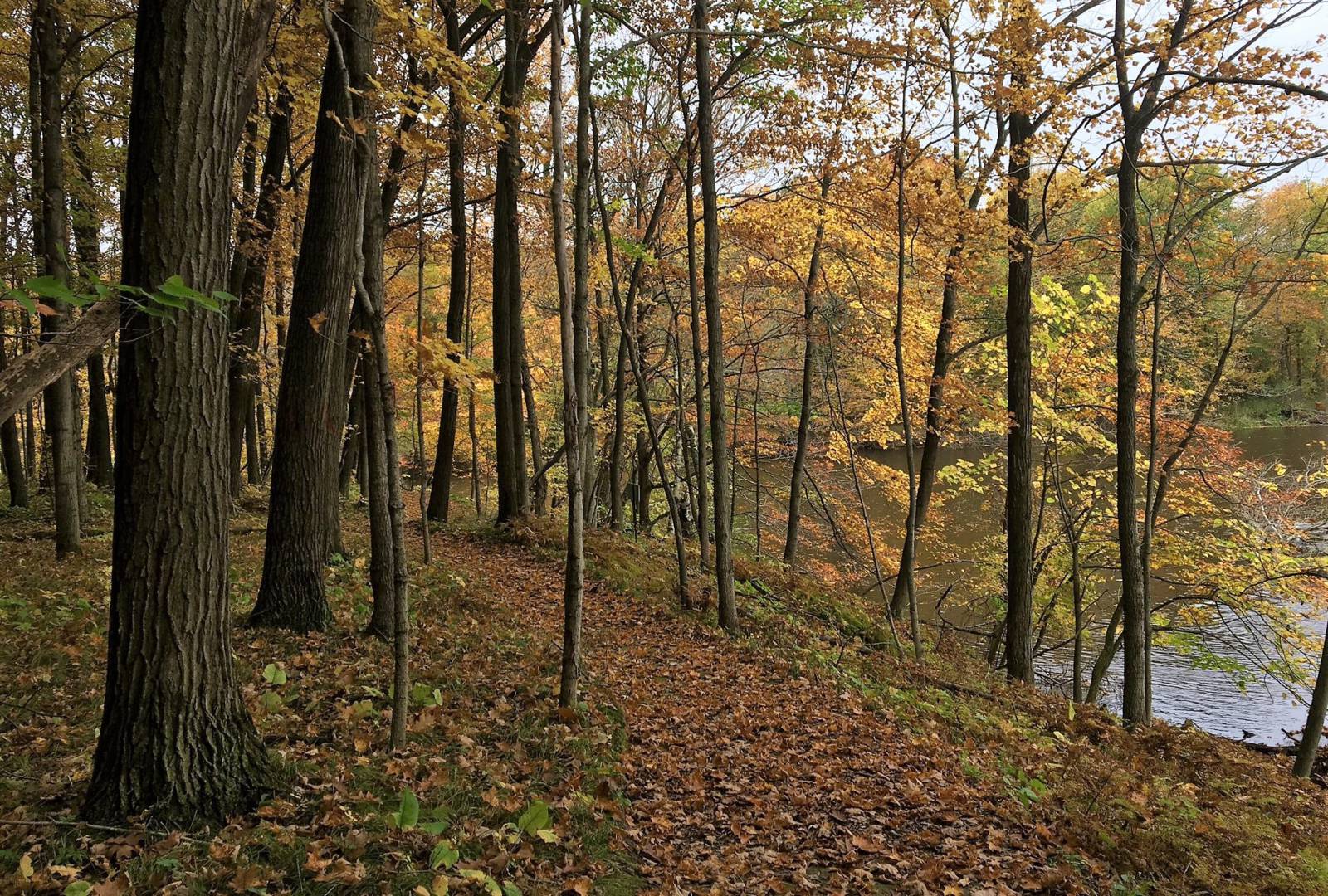 scenic autumn forest trail along the Milwaukee River