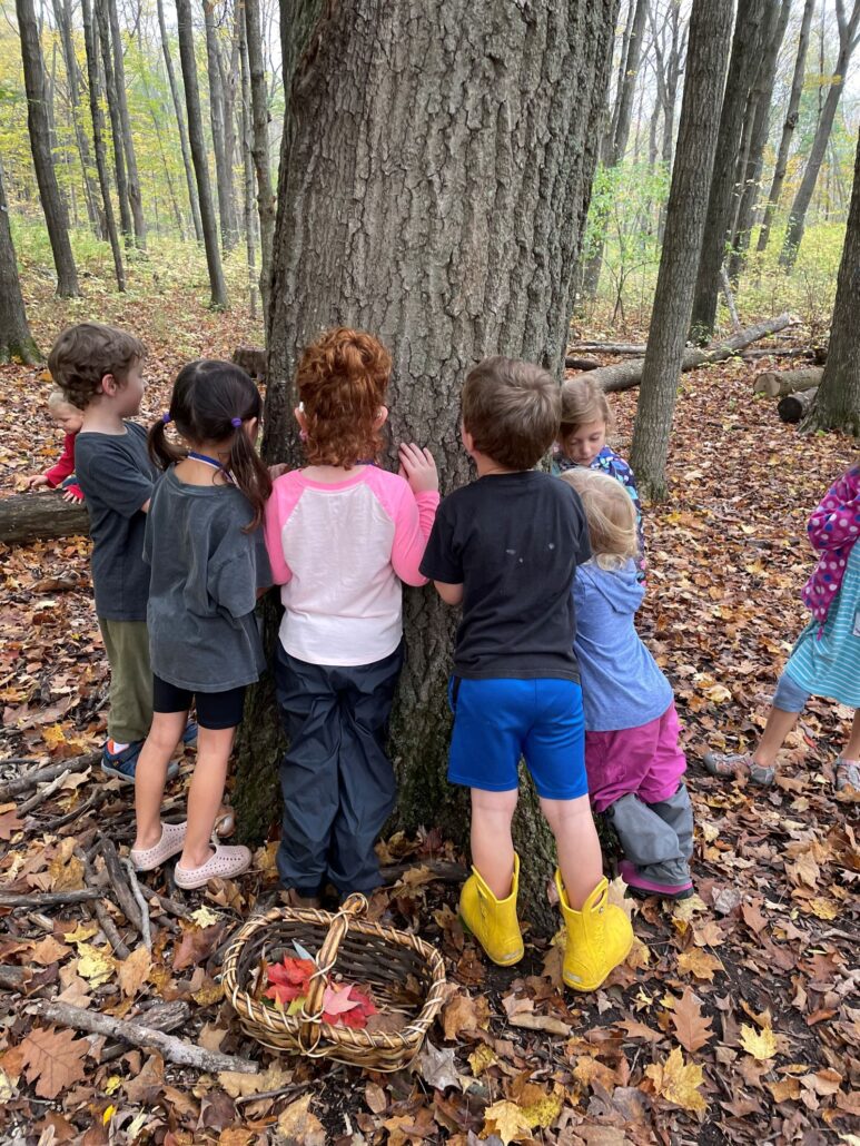 6 young kids stand around a large tree trunk in a forest with fall leaves on the ground