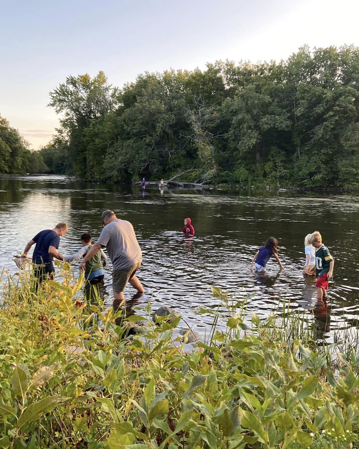 adults and kids stand in a river looking for crayfish