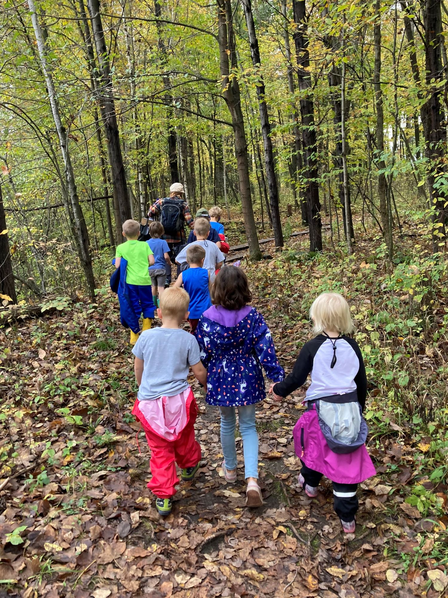 a group of young kids follow an educator through a forest path in the fall