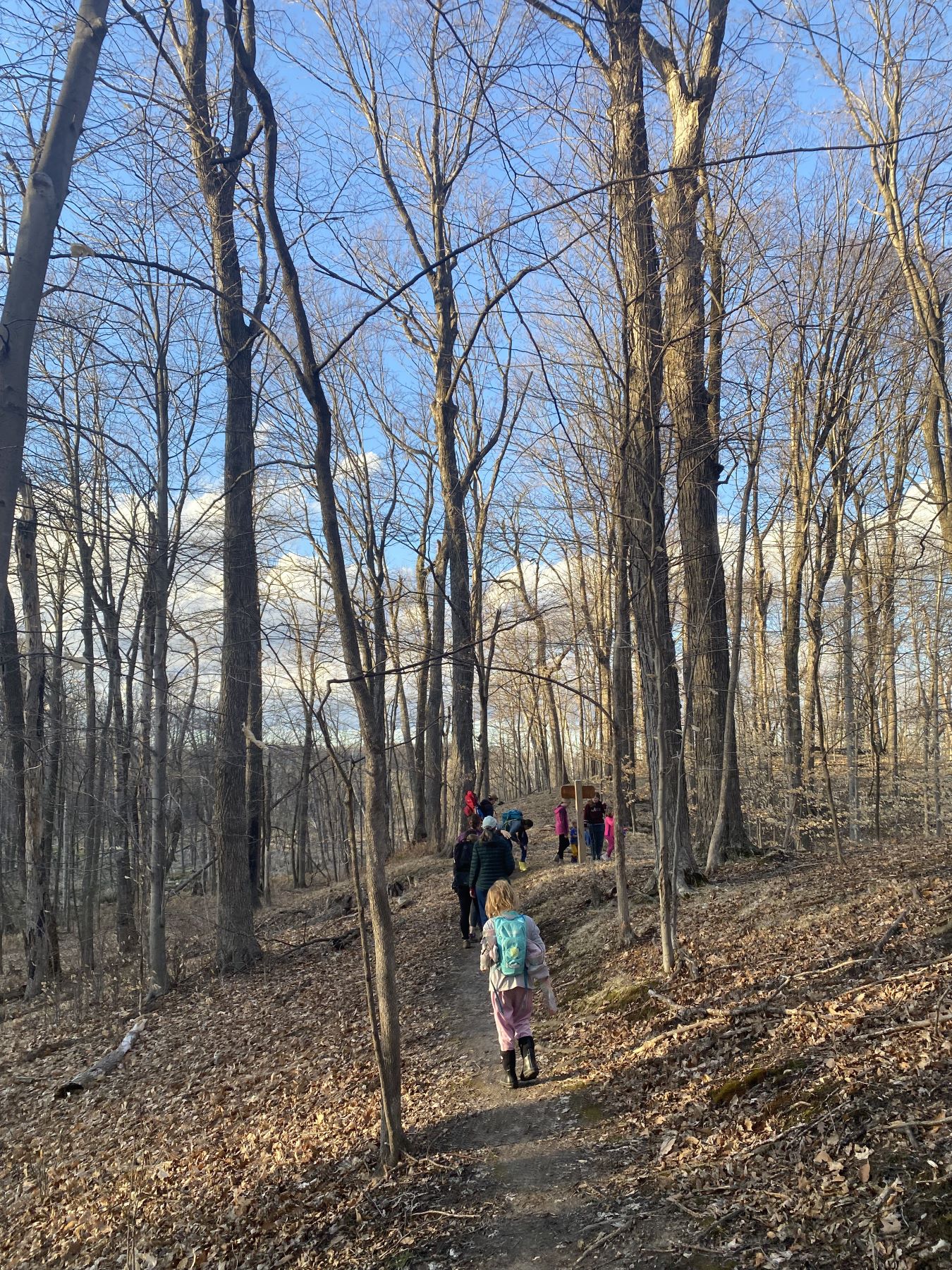 a small group of young kids hike on a trail through a forest in late fall