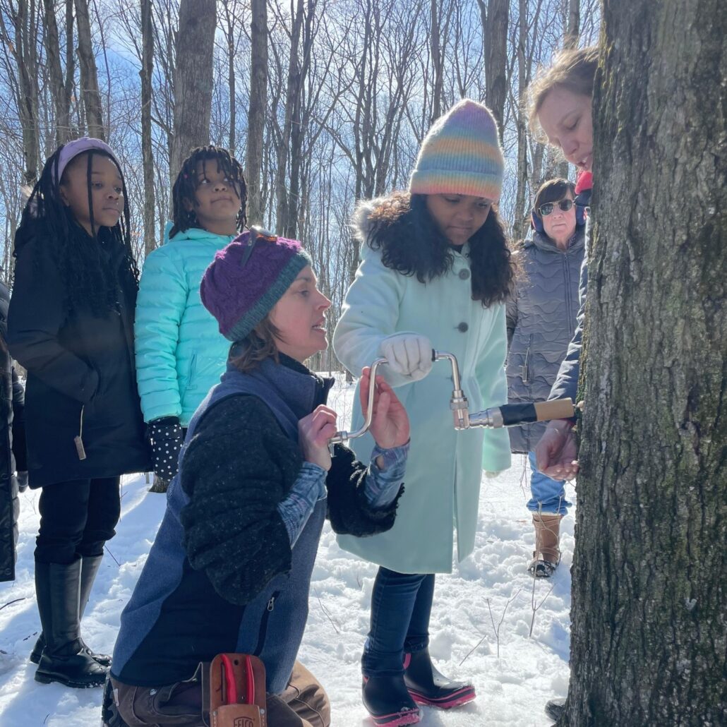 3 kids tapping a maple tree in winter with the help of 2 adults