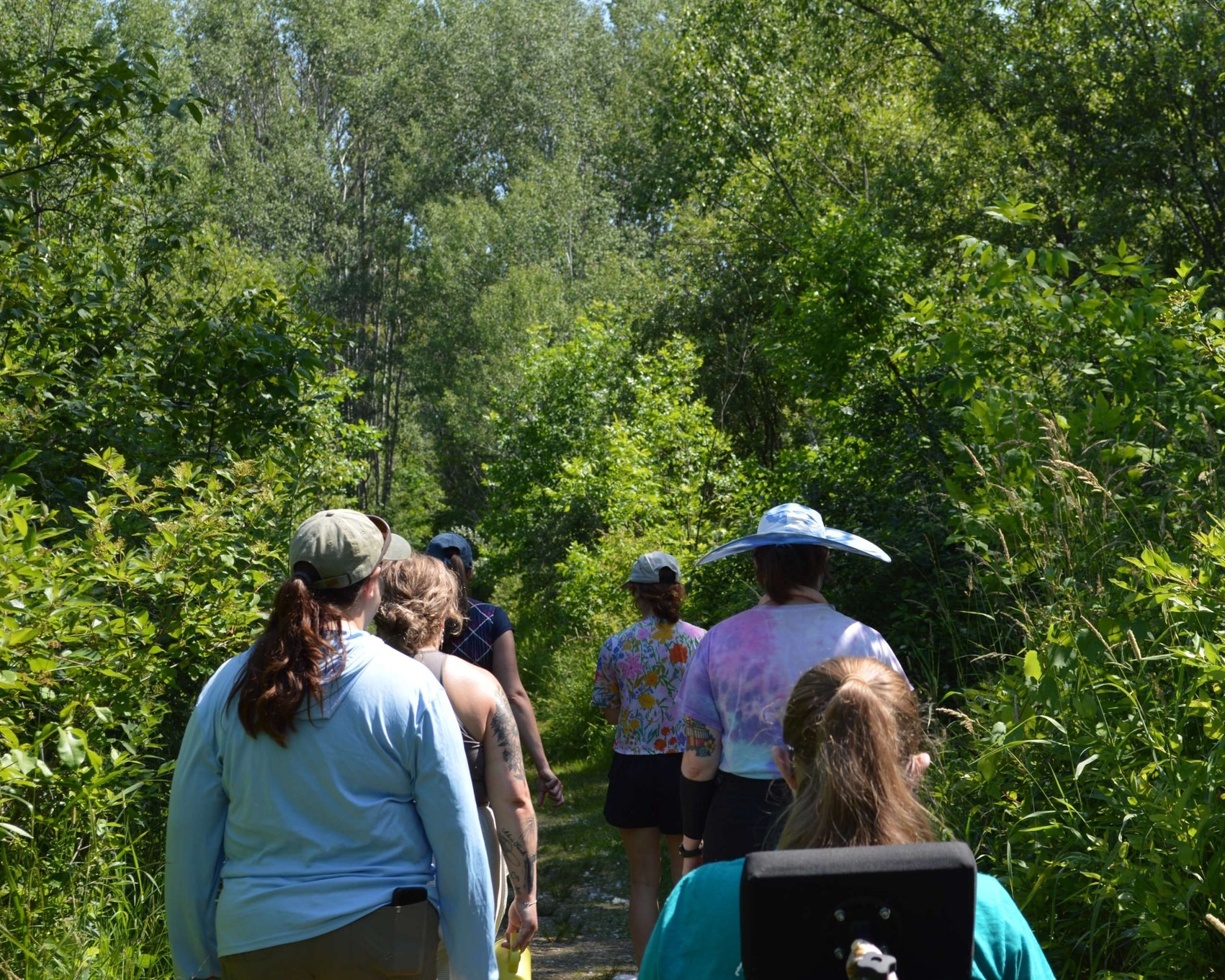 a small group of adults hiking along a lush green trail on a sunny summer day